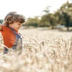 Toddlers need healthy carbs -Kid walking in a tall grains' field